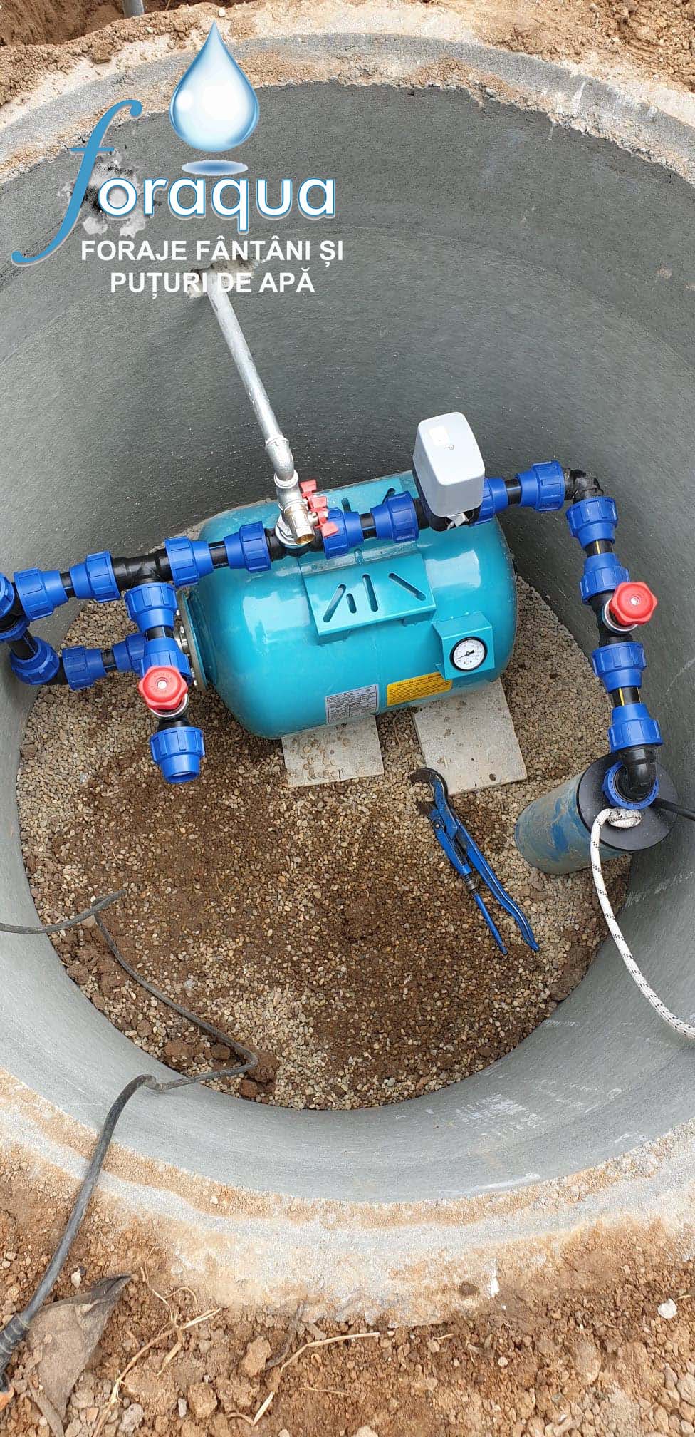 Sea slug Cooperative mesh Furnizari si instalari pompe submersibile – Foraqua